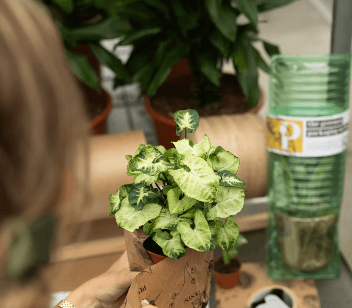 FEEDING YOUR PLANTS: A SIMPLE BEGINNER GUIDE TO FERTILIZER THAT REALLY WORKS