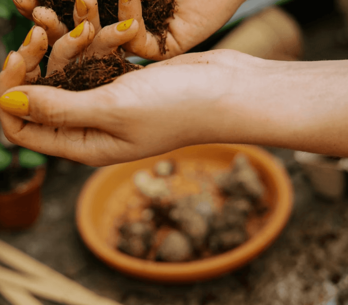 MAKING YOUR OWN POTTING MIX: A SIMPLE HOME RECIPE FOR HEALTHY HAPPY PLANTS